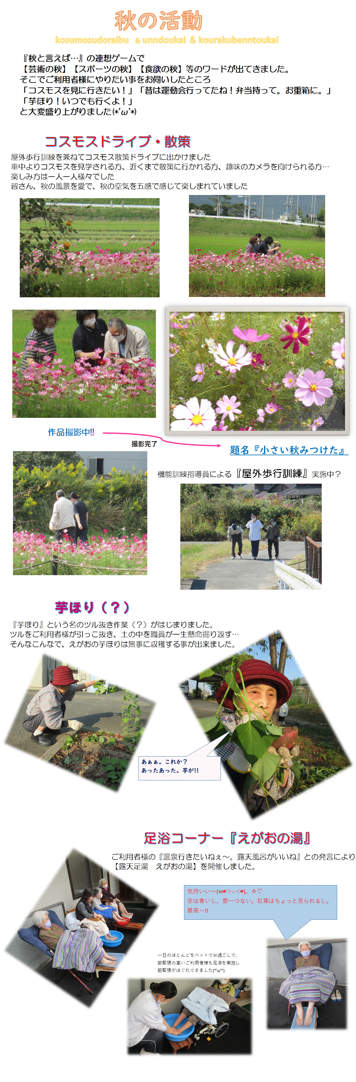 秋の活動の様子